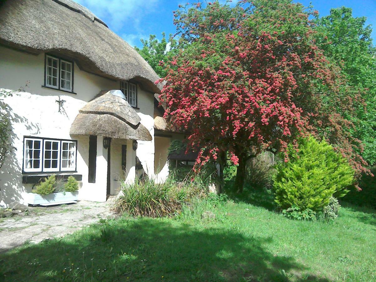 The Crown Inn Alvediston Exterior photo