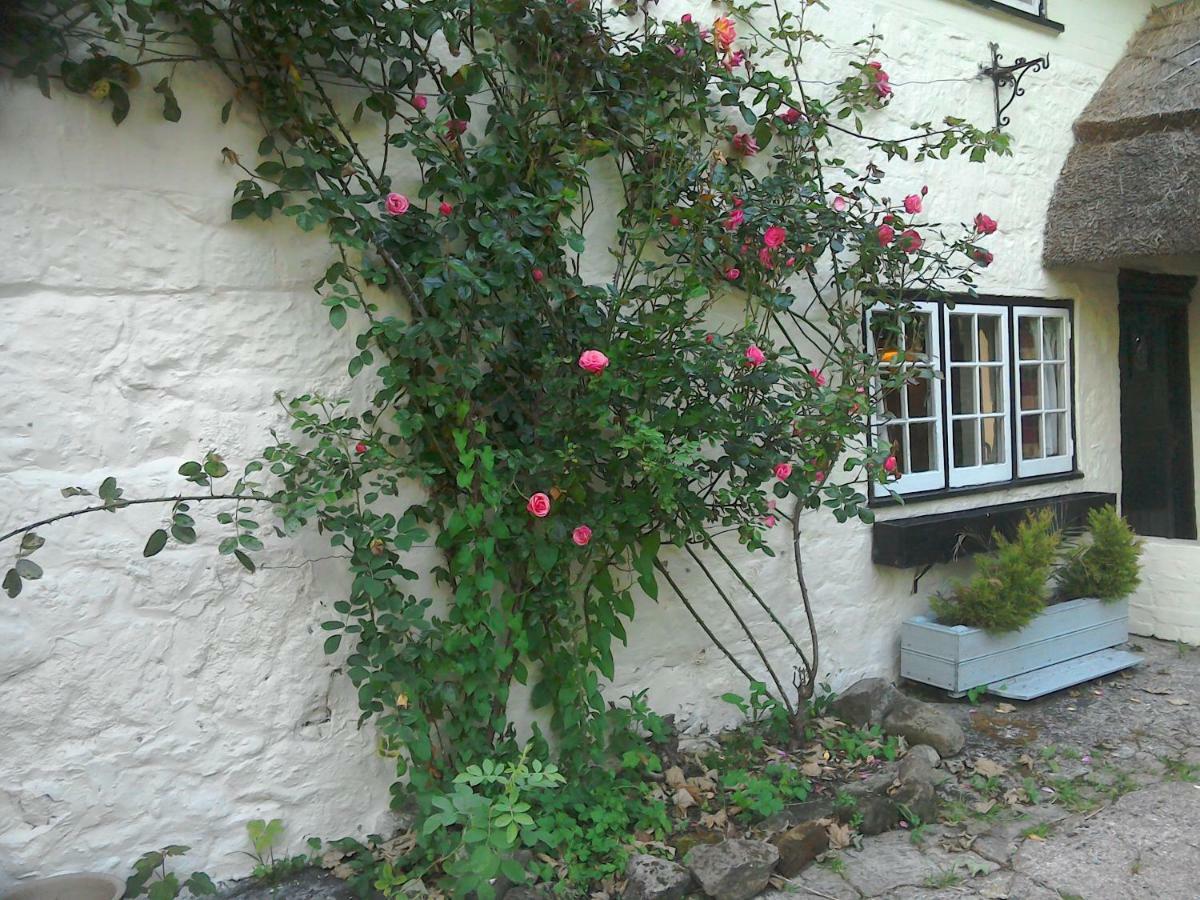 The Crown Inn Alvediston Exterior photo