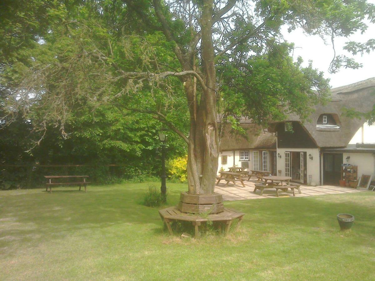 The Crown Inn Alvediston Exterior photo